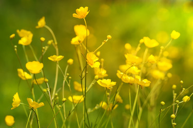 Similar image 7995903