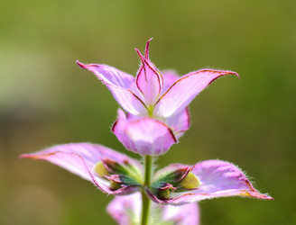 Similar image 7995923