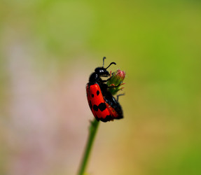 Similar image 7995924