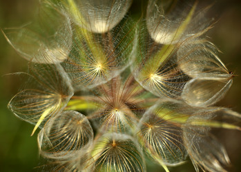 Similar image 7995926