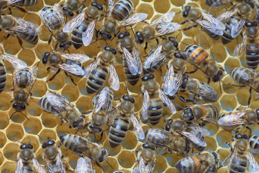 Similar image 7995950