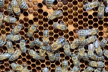 Similar image 7995951