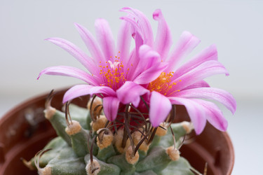 Similar image 7995956