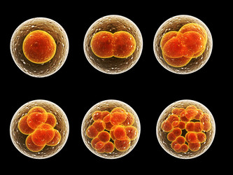 Similar image 7996007