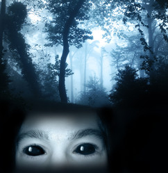 Similar image 7996012