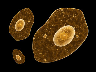 Similar image 7996015