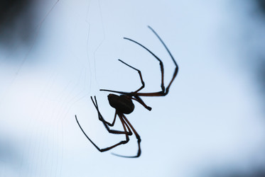 Similar image 7996122