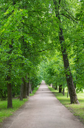 Similar image 7996187