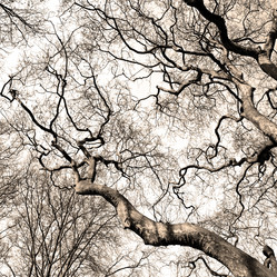 Similar image 7996315