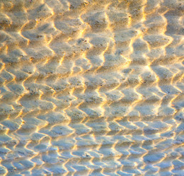 Similar image 7996379