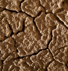 Similar image 7996380