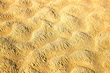 Similar image 7996390