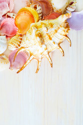 Similar image 7996596