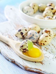 Similar image 7996732