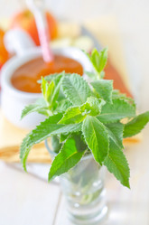 Similar image 7996937