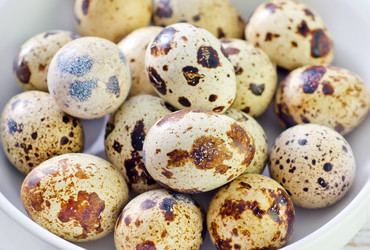 Similar image 7996948