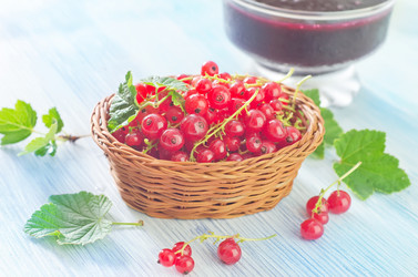 Similar image 7997053