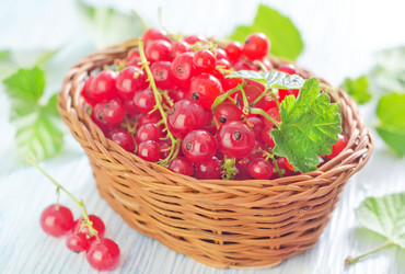 Similar image 7997072