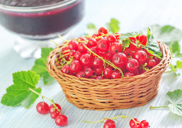 Similar image 7997080