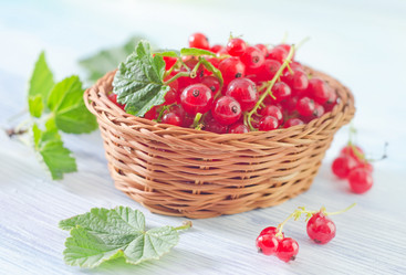 Similar image 7997083