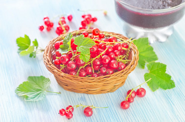 Similar image 7997095