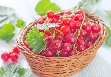 Similar image 7997098