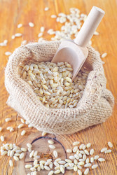 Similar image 7997147