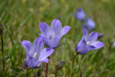 Similar image 7997318