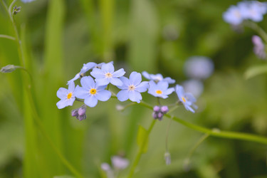 Similar image 7997322