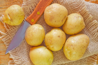 Similar image 7997446