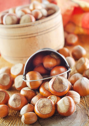 Similar image 7997481