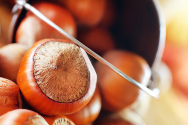 Similar image 7997507