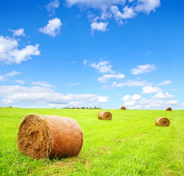 Similar image 7997522