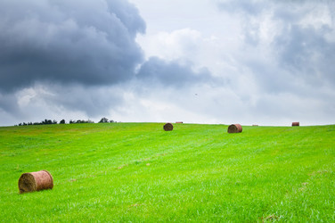 Similar image 7997524