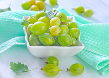 Similar image 7997525