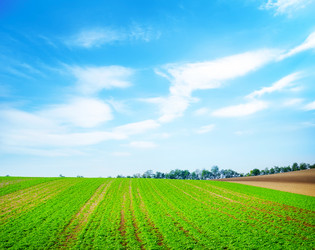 Similar image 7997526