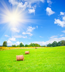 Similar image 7997531