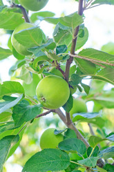 Similar image 7997646