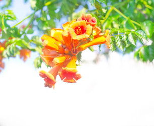 Similar image 7997693