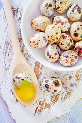 Similar image 7998168