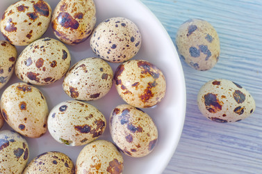 Similar image 7998171