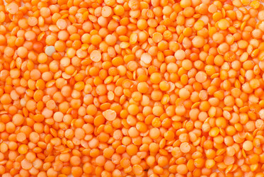 Similar image 7998178