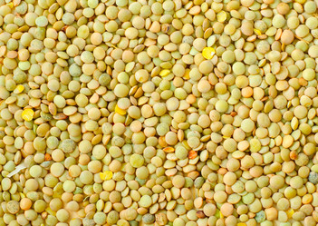 Similar image 7998180