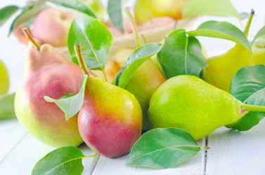 Similar image 7998197