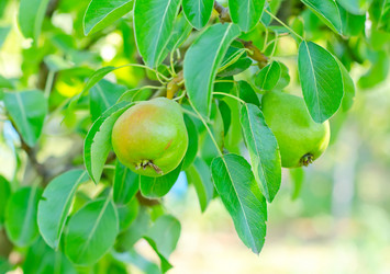 Similar image 7998336