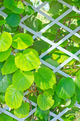 Similar image 7998380