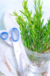 Similar image 7998386