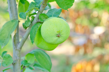 Similar image 7998388