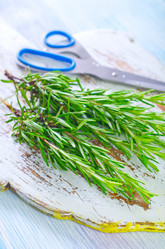 Similar image 7998391