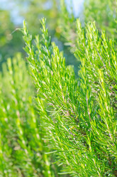 Similar image 7998409